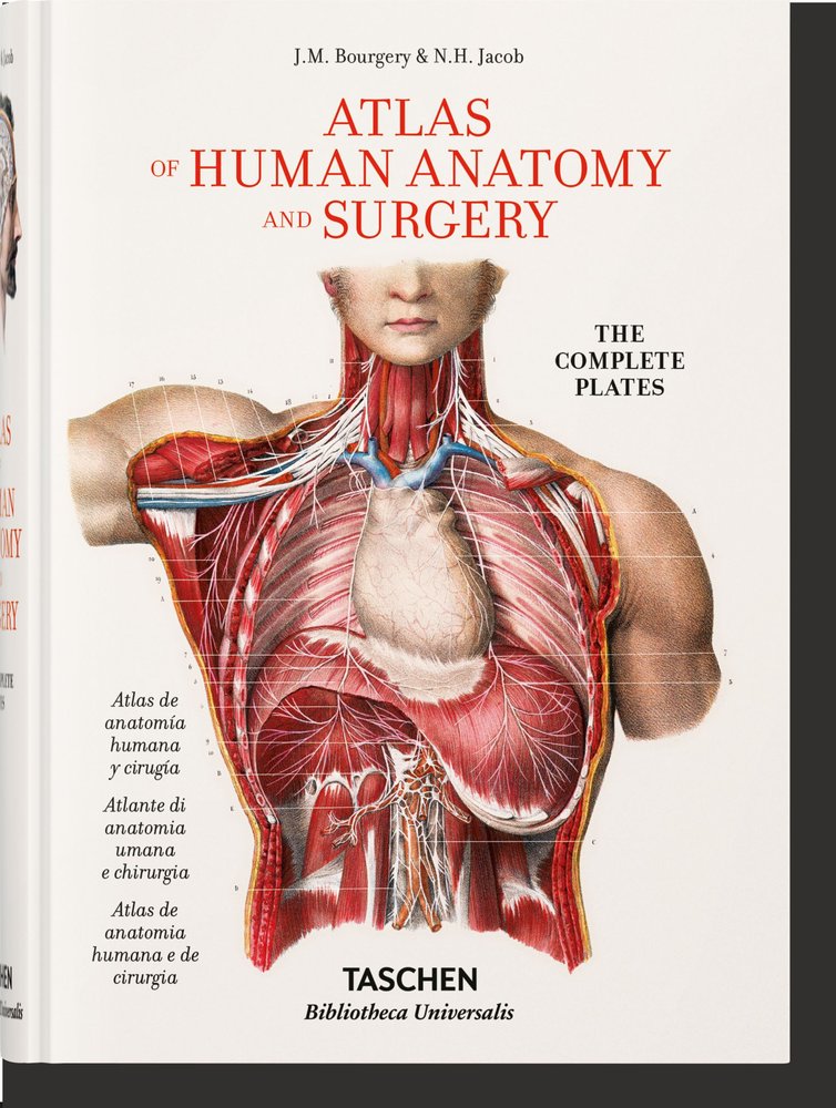 Bourgery. Atlas de anatomía humana y cirugía, de Le Minor, Jean-Marie | portada del libro