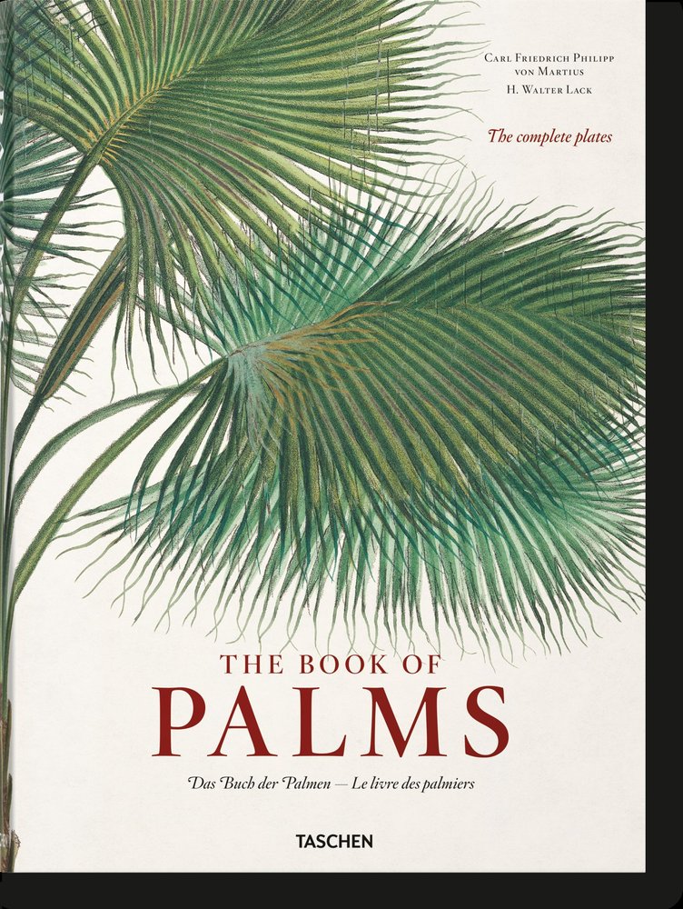 Martius. The Book of Palms, de , Lack, H. Walter | portada del libro