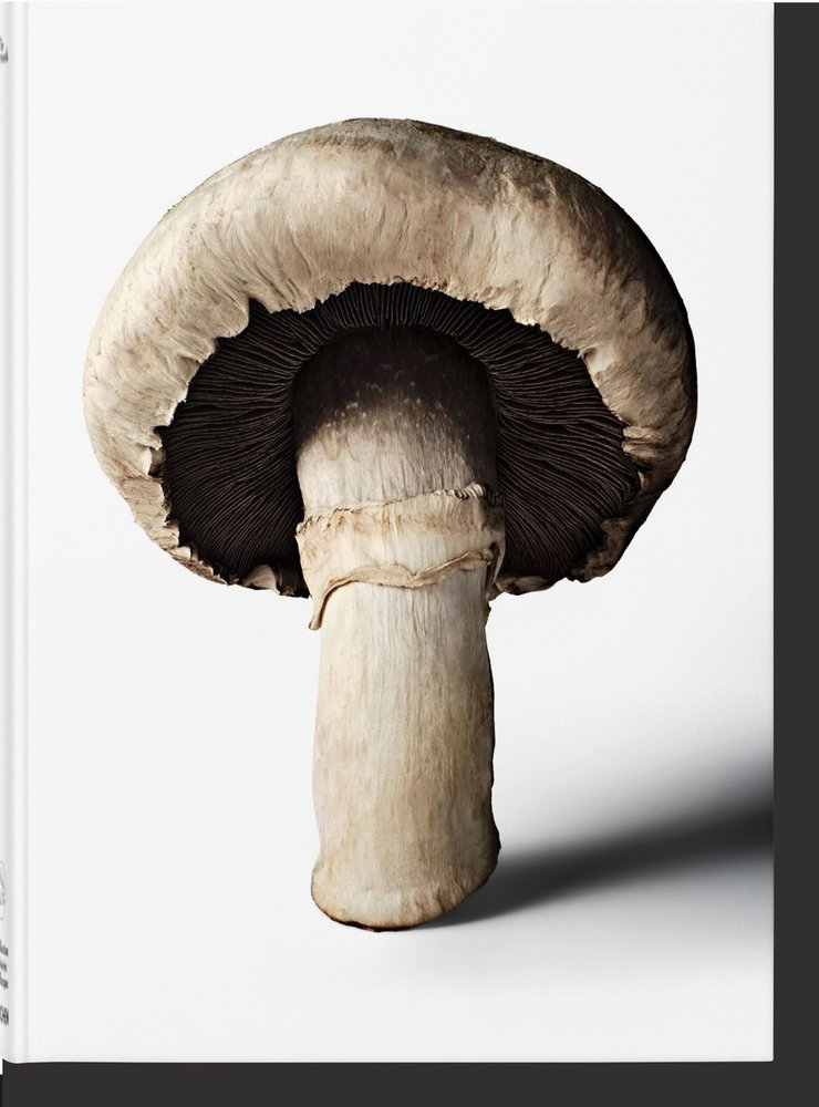 THE GOURMAND'S MUSHROOM. A COLLECTION OF STORIES & RECIPES, de 38.46 | portada del libro