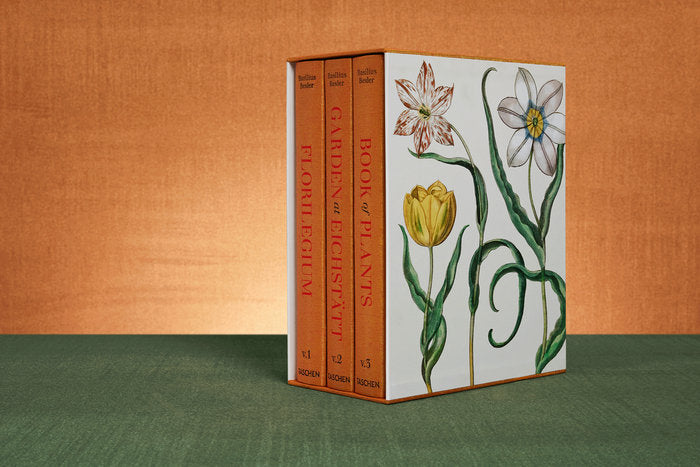 Besler. The Garden at Eichstätt FFE, de Dressendörfer, Werner | portada del libro