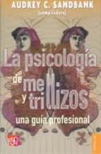 PSICOLOGIA DE LOS MELLIZOS Y TRILLIZOS, LA, de AUDREY C. SANDBANK | portada del libro
