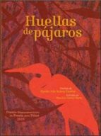 HUELLAS DE PAJAROS, de RAMON IVAN SUAREZ CAAMAL | portada del libro