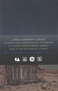 TE DIRIA QUE FUERAMOS AL RIO BRAVO A LLORAR PERO DEBES SABE, de CHAVEZ | portada del libro