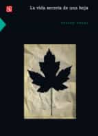 LA VIDA SECRETA DE UNA HOJA, de Steven Vogel | portada del libro