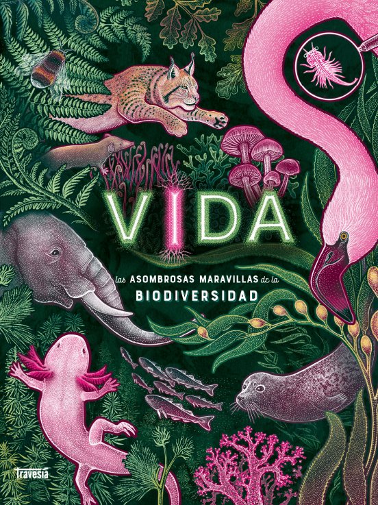 VIDA, de N.R. SMITH, JENNIFER | portada del libro