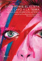 DAVID BOWIE: EL ESTETA QUE CAYO A LA TIERRA, de JUAN DE LA CRUZ BOBADILLA | portada del libro