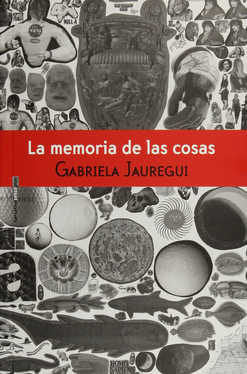 La memoria de las cosas, de JAUREGUI,GABRIELA | portada del libro