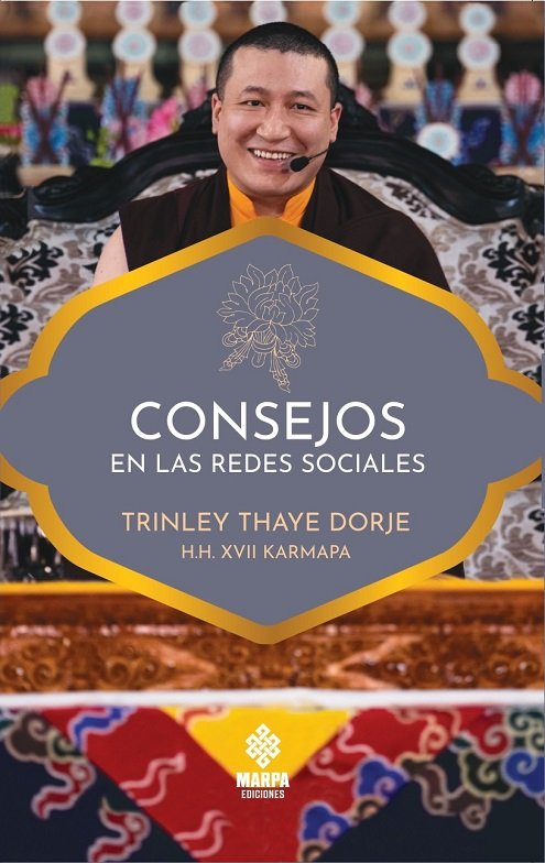 CONSEJOS EN LAS REDES SOCIALES, de TRINLEY THAYE | portada del libro