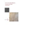 TITULI-IMAGINES-MARMORA. MATERIA Y PRESTIGIO EN MARMOL, de DIANA GOROSTIDI PI | portada del libro