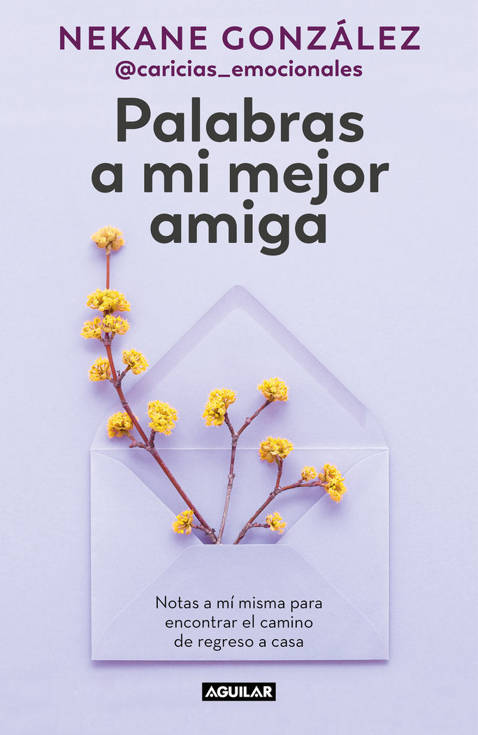 PALABRAS A MI MEJOR AMIGA, de GONZALEZ,NEKANE | portada del libro