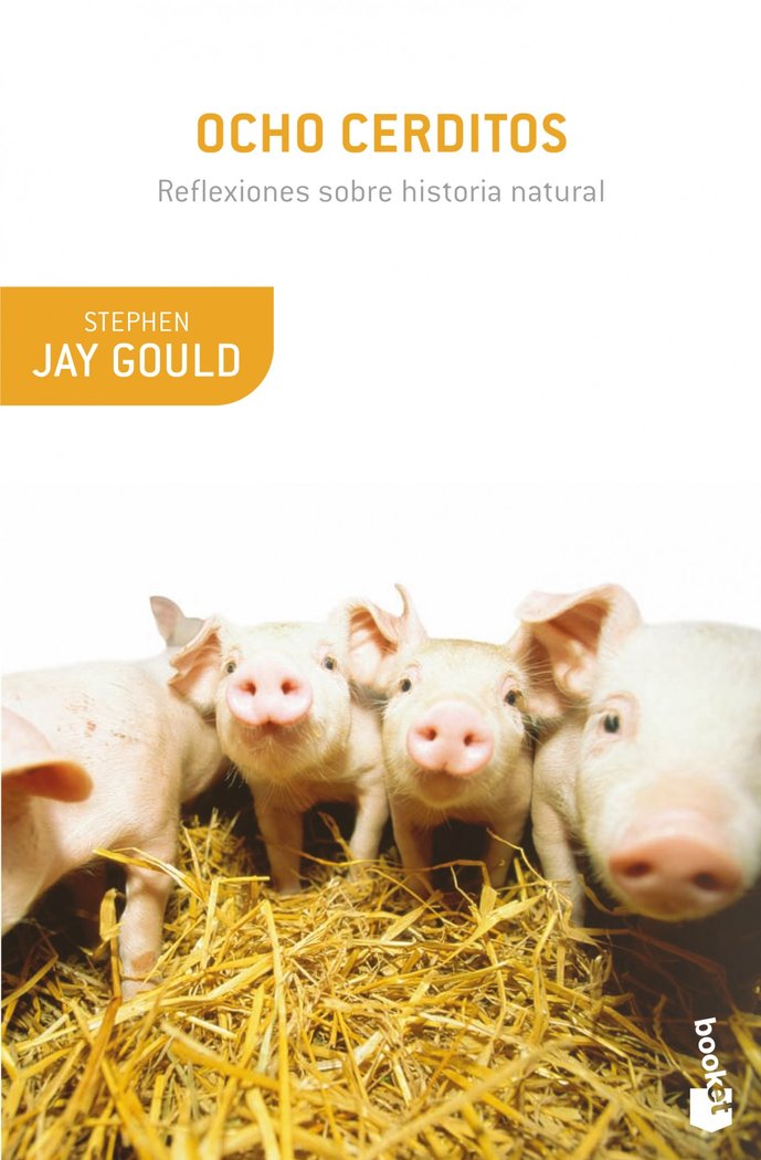 Ocho cerditos, de Gould | portada del libro