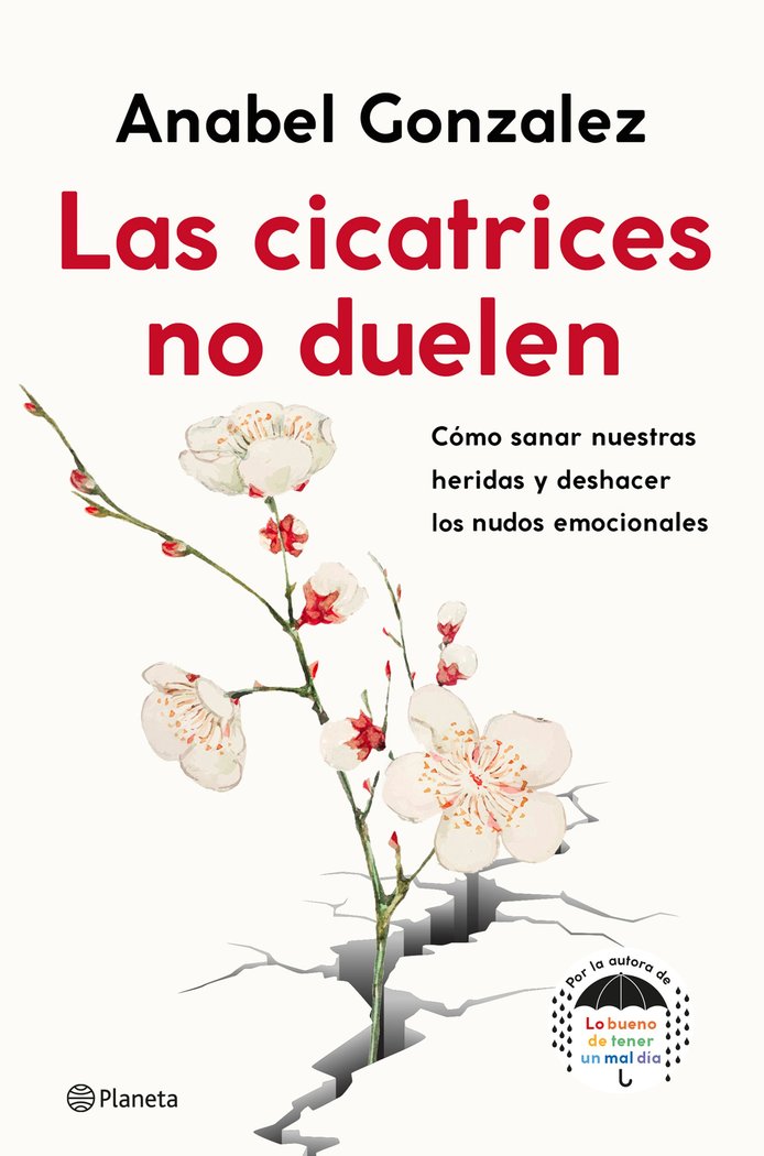 Las cicatrices no duelen, de Gonzalez, Anabel | portada del libro