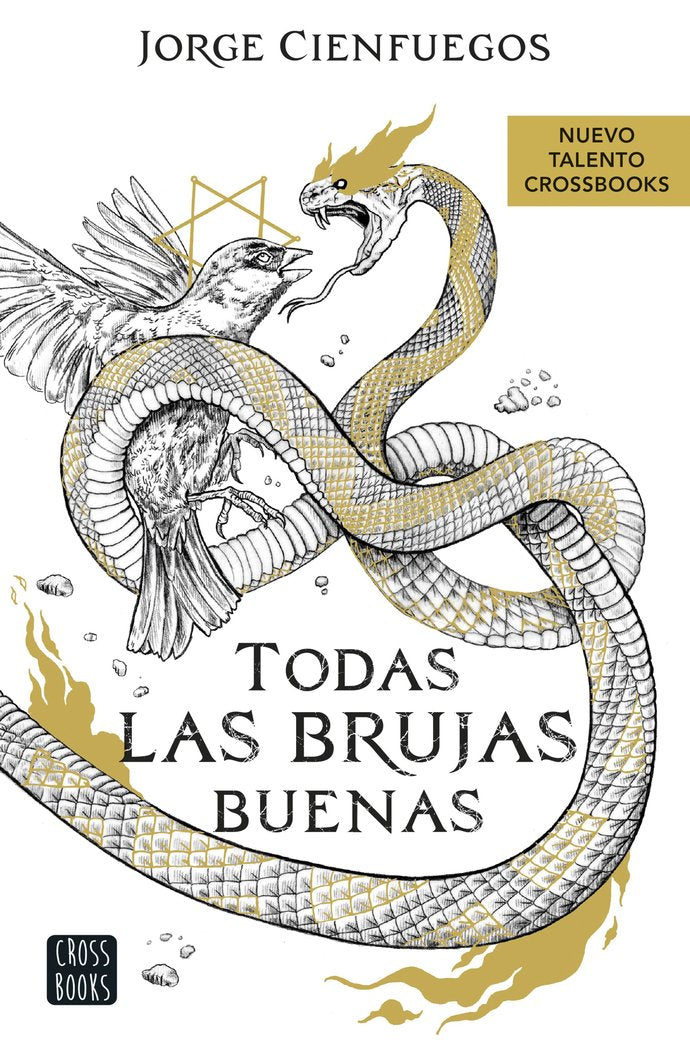 TODAS LAS BRUJAS BUENAS, de JORGE CIENFUEGOS | portada del libro