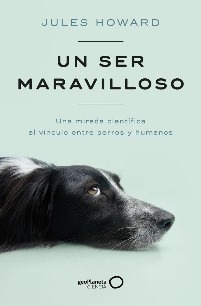 Un ser maravilloso, de JULES HOWARD | portada del libro