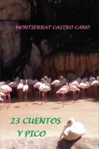 23 CUENTOS Y PICO, de Castro Cano | portada del libro