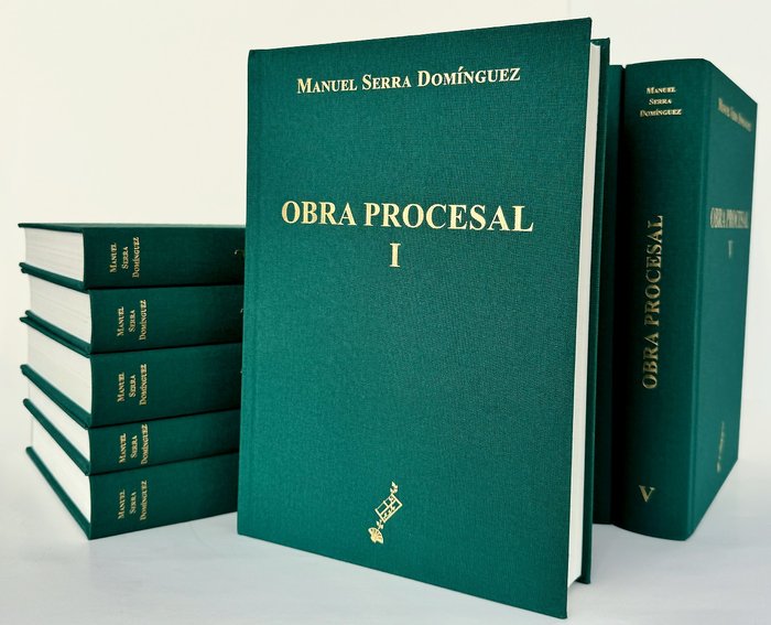 OBRA PROCESAL, de SERRA DOMINGUEZ, MANUEL | portada del libro
