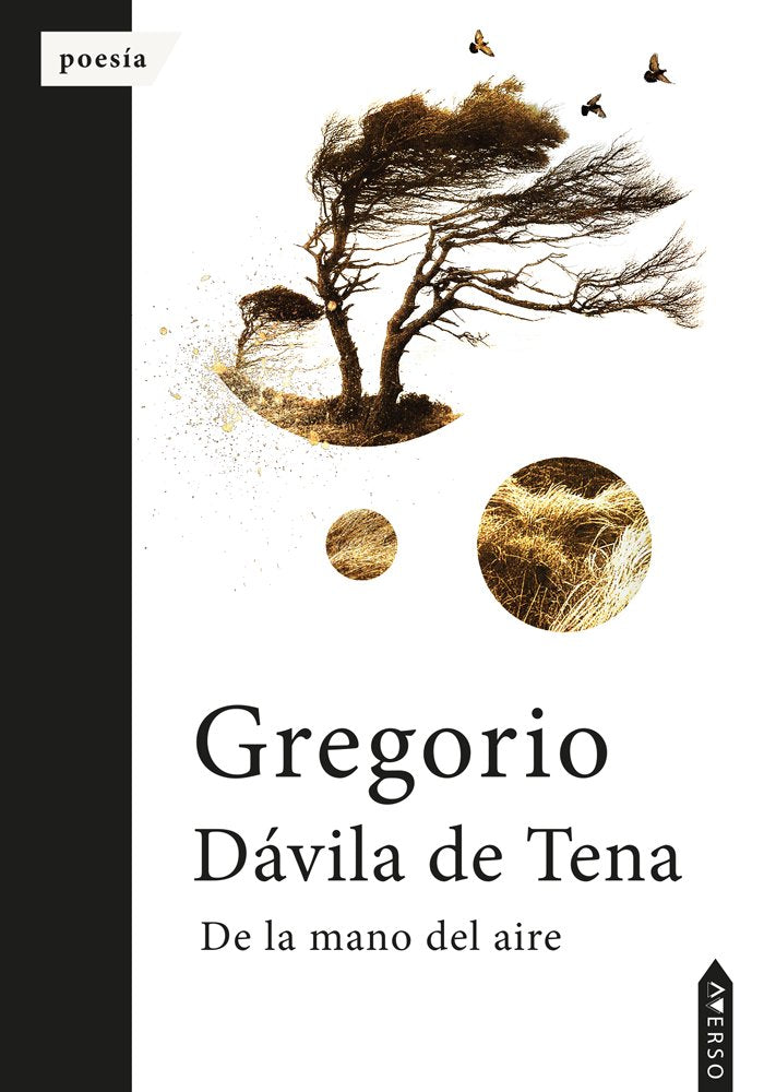 De la mano del aire, de , Dávila de Tena, Gregorio | portada del libro