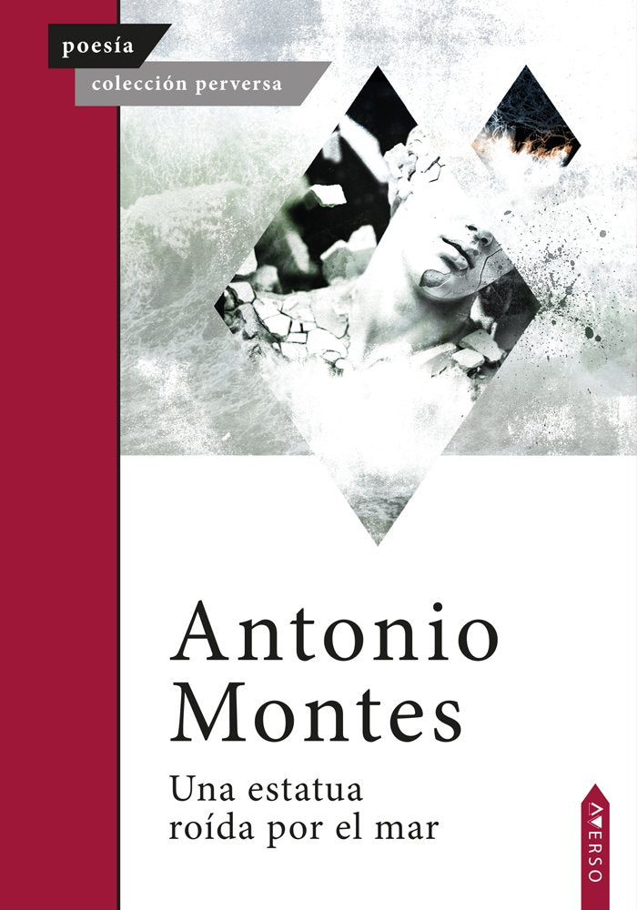 Una estatua roída por el mar, de , Montes, Antonio | portada del libro