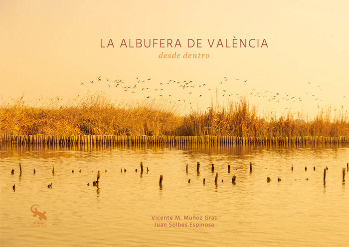 LA ALBUFERA DE VALENCIA, de JUAN SOLBES ESPINOSA | portada del libro