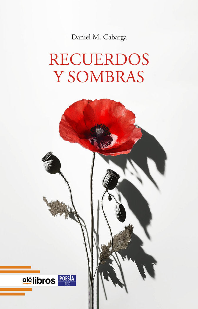 Recuerdos y sombras, de M. Cabarga, Daniel | portada del libro