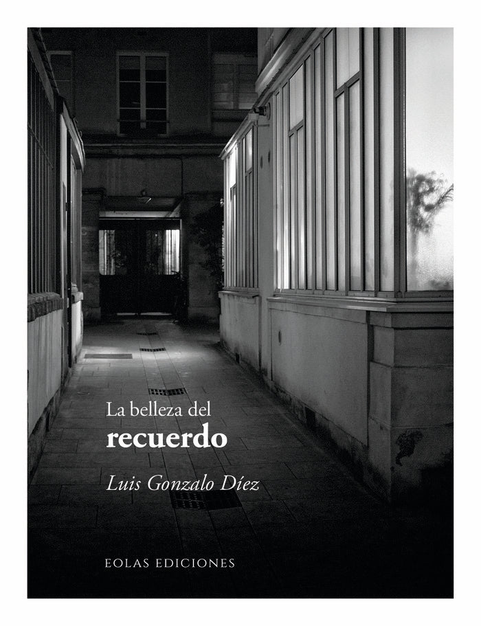 La belleza del recuerdo, de DIEZ, LUIS GONZALO | portada del libro