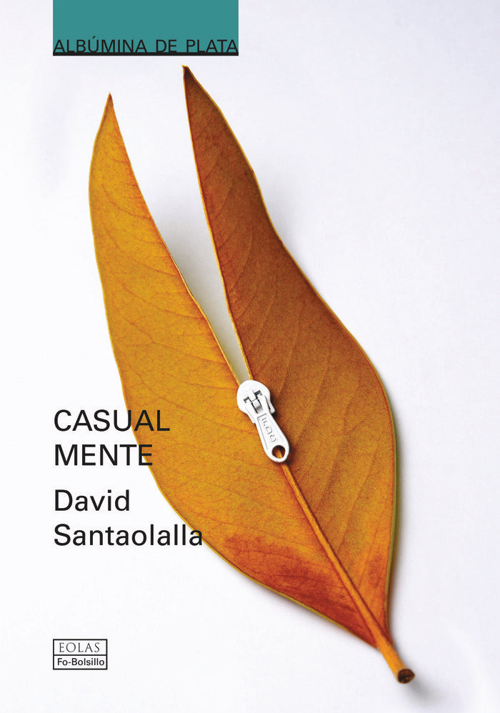Casual Mente, de SANTAOLALLA, DAVID | portada del libro