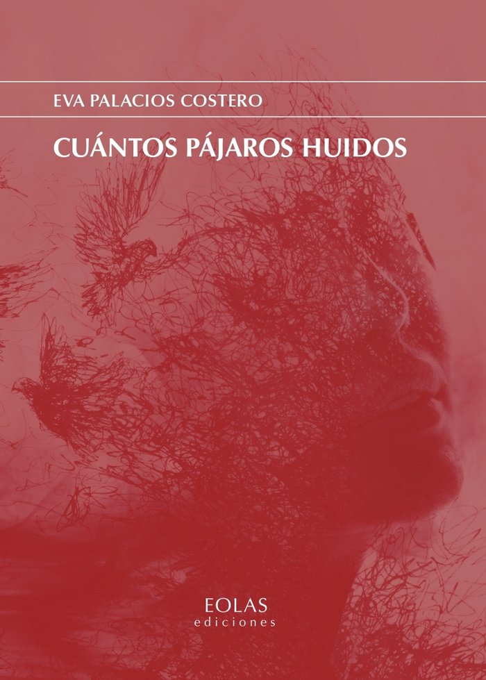 CUANTOS PAJAROS HUIDOS, de PALACIOS COSTERO, EVA | portada del libro