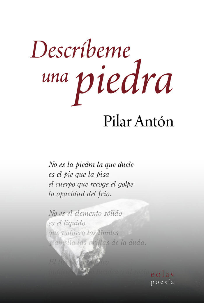 DESCRIBEME UNA PIEDRA, de ANTON, PILAR | portada del libro