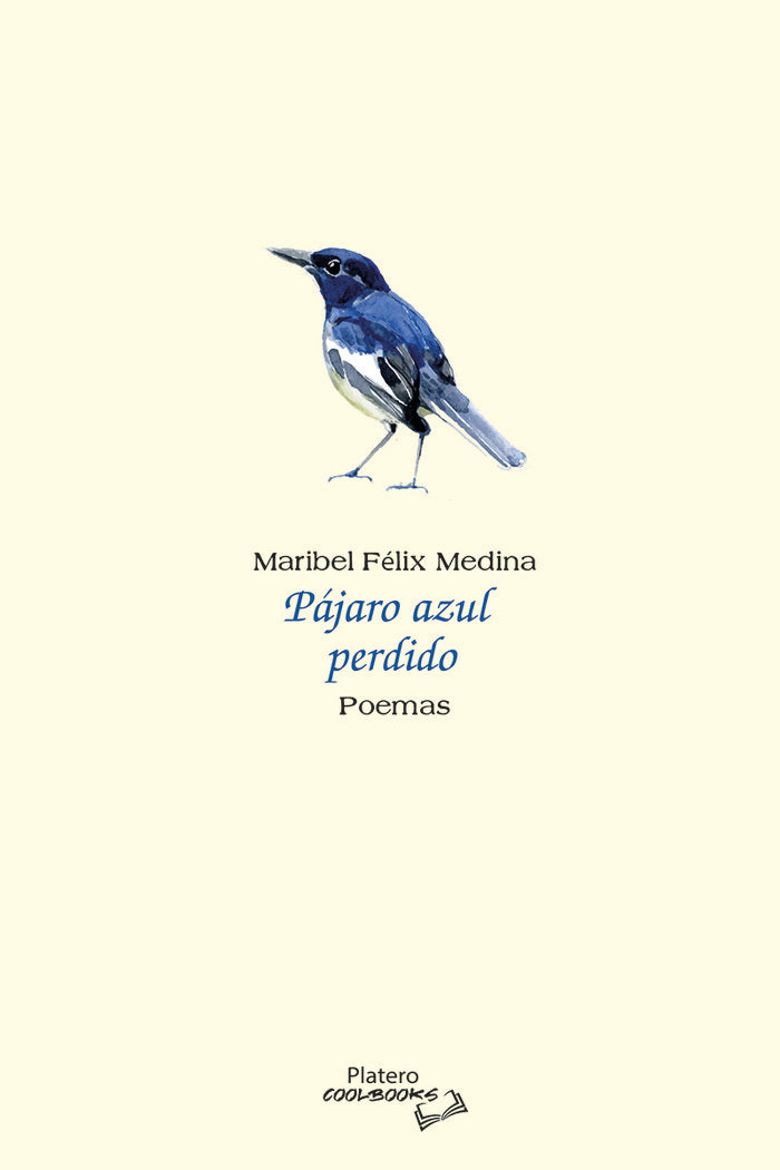 PÁJARO AZUL PERDIDO, de FÉLIX MEDINA, Mª ISABEL | portada del libro