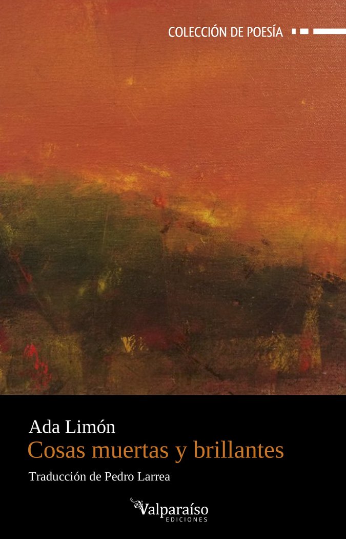 Cosas muertas y brillantes, de LIMON,ADA | portada del libro
