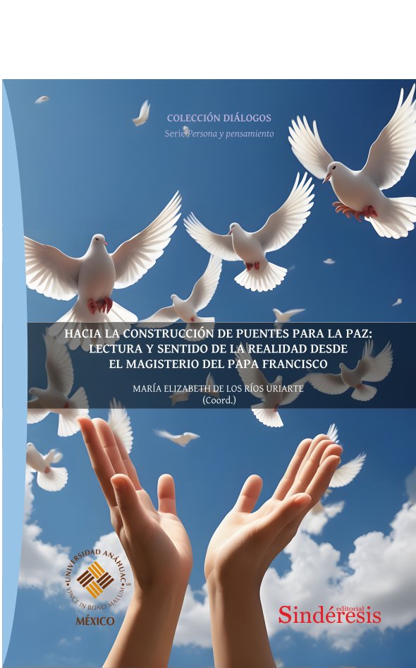 HACIA LA CONSTRUCCION DE PUENTES PARA LA PAZ: LECTURA Y SENTIDO DE LA REALIDAD D, de RIOS URIARTE, MARIA ELIZABETH DE LOS | p
