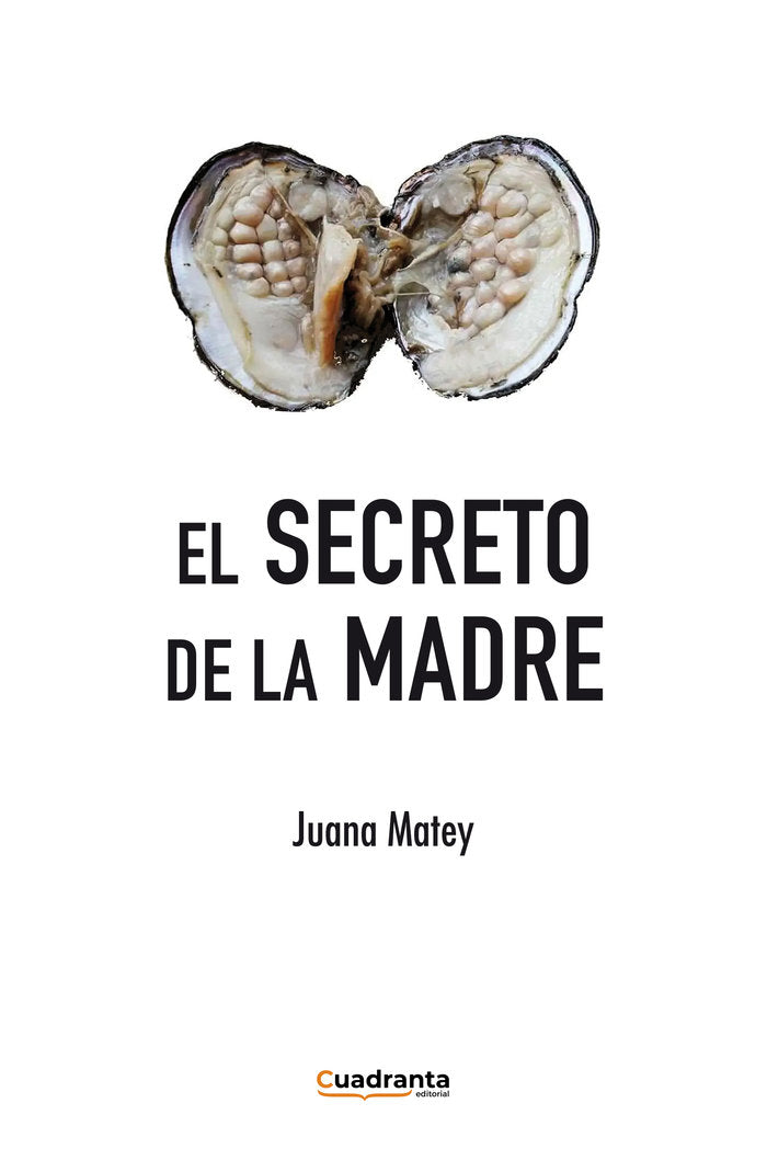 El secreto de la madre, de Matey, Juana | portada del libro