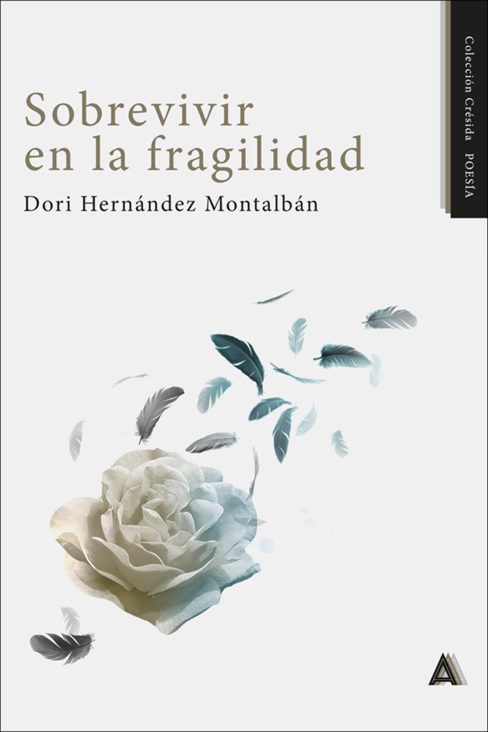 Sobrevivir en la fragilidad, de , Hernández Montalbán, Dori | portada del libro