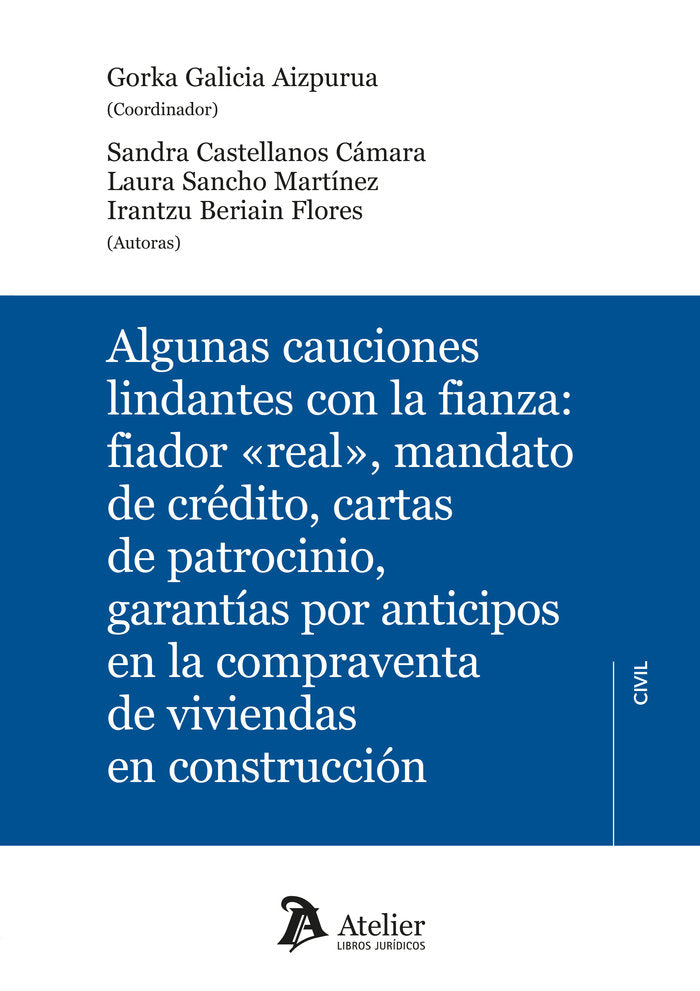 ALGUNAS CAUCIONES LINDANTES CON LA FIANZA FIADOR REAL, de GORKA GALICIA AIZPURUA | portada del libro