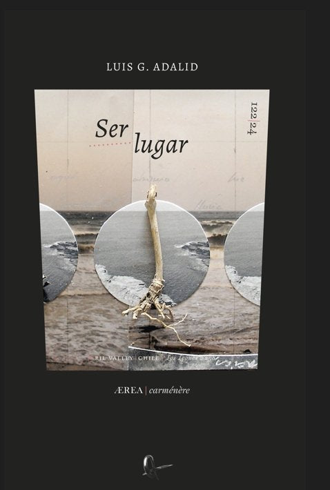 SER LUGAR, de ADALID, LUIS G. | portada del libro