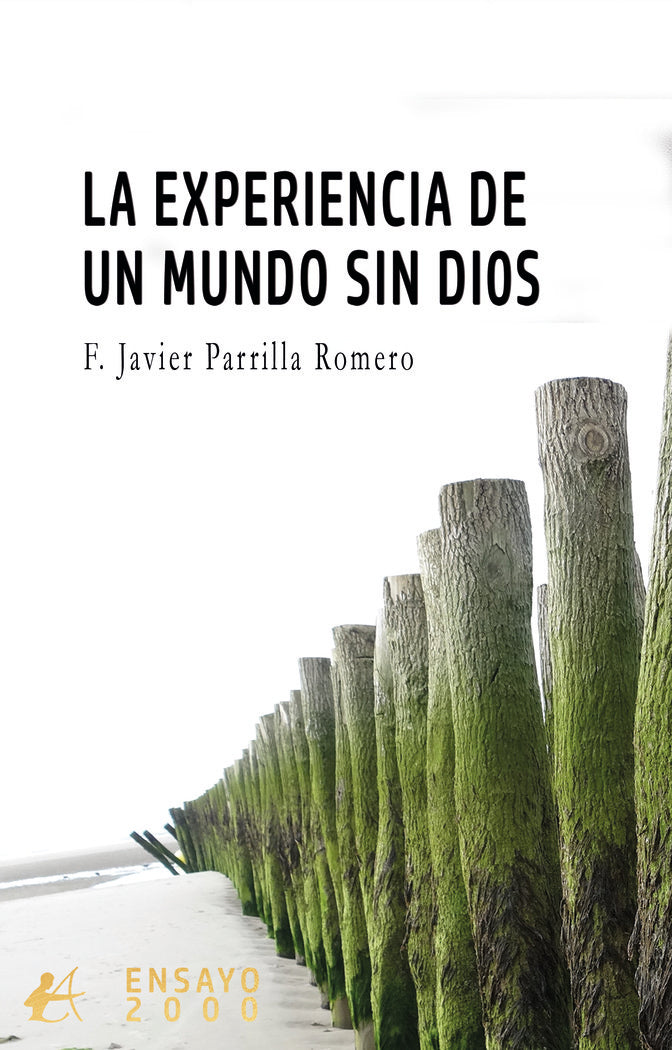 La experiencia de un mundo sin Dios, de Parrilla Romero, Francisco Javier | portada del libro