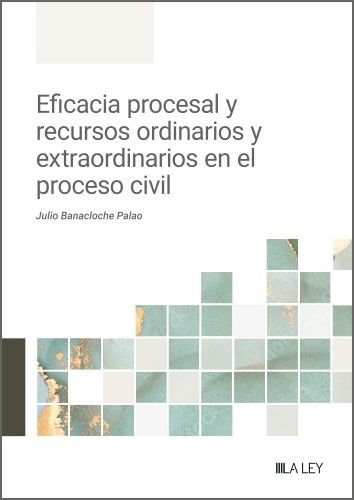 Eficacia procesal y recursos ordinarios y extraordinarios en el proceso civil, de JULIO BANACLOCHE PALAO | portada del libro