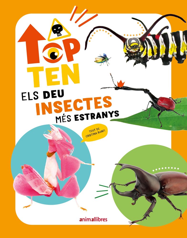 TOP TEN ELS DEU INSECTES MES ESTRANYS, de CRISTINA BANFI | portada del libro