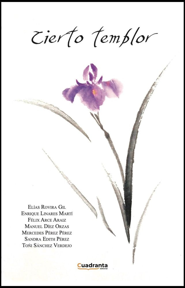 Cierto temblor, de , Arce Araiz, Félix | portada del libro