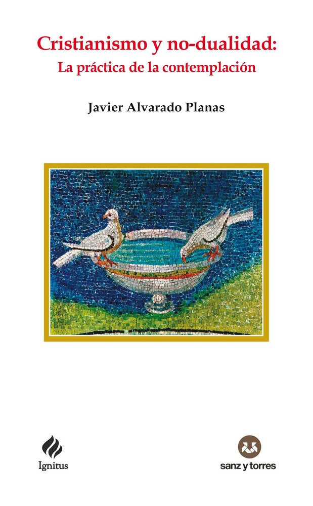 CRISTIANISMO Y NO-DUALIDAD, de ALVARADO PLANAS, JAVIER | portada del libro