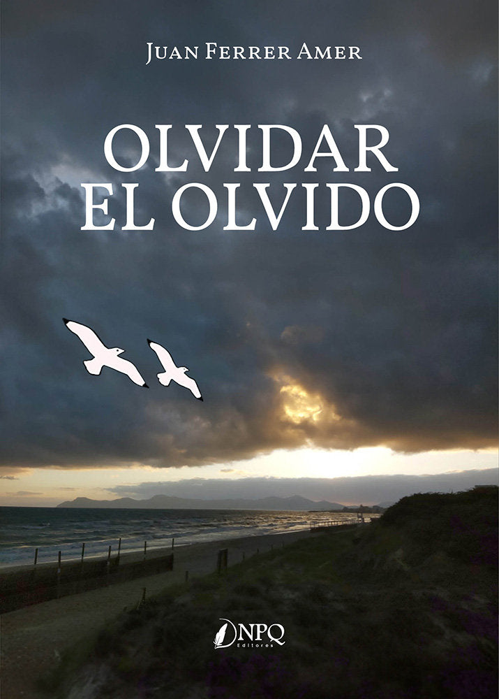 OLVIDAR EL OLVIDO, de FERRER AMER, JUAN | portada del libro