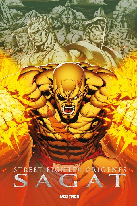 STREET FIGHTER ORIGENES SAGAT, de NG JOE | portada del libro