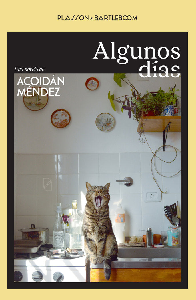 ALGUNOS DIAS, de MENDEZ,ACOIDAN | portada del libro