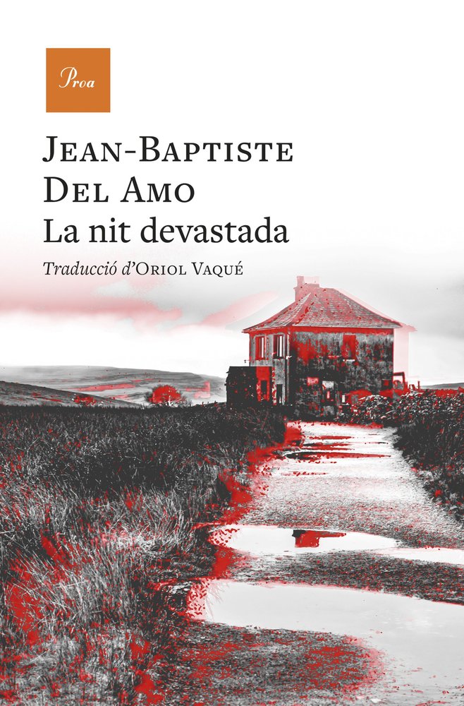 LA NIT DEVASTADA, de AMO | portada del libro