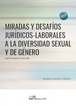 MIRADAS Y DESAFIOS JURIDICOS LABORALES A LA DIVERSIDAD SEXUA, de GONZALEZ COBALEDA, ESTEFANIA | portada del libro