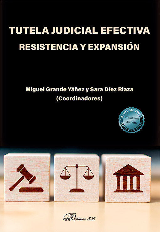 TUTELA JUDICIAL EFECTIVA RESISTENCIA Y EXPANSION | portada del libro