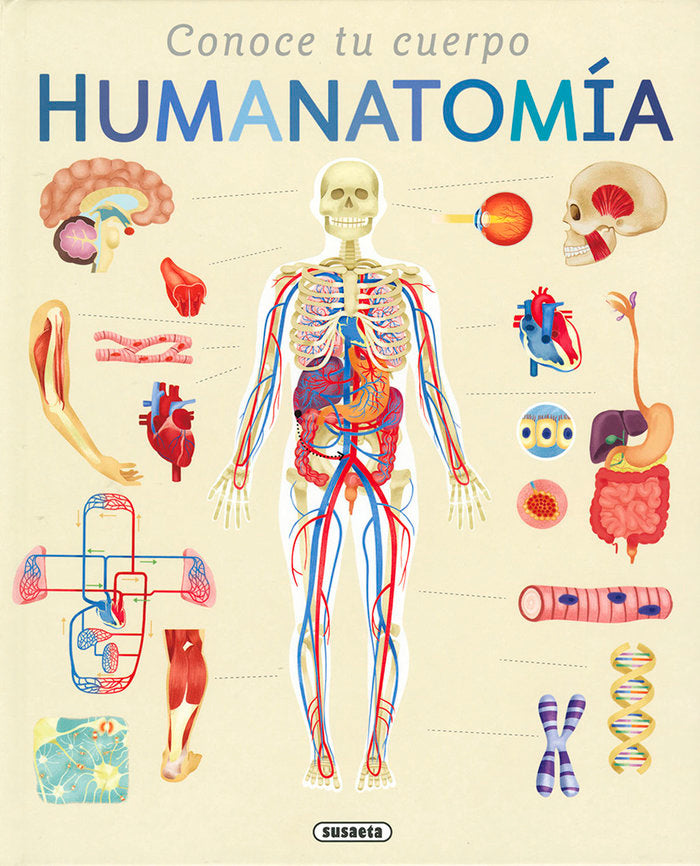 HUMANATOMIA, de EDWARDS, NICOLA | portada del libro