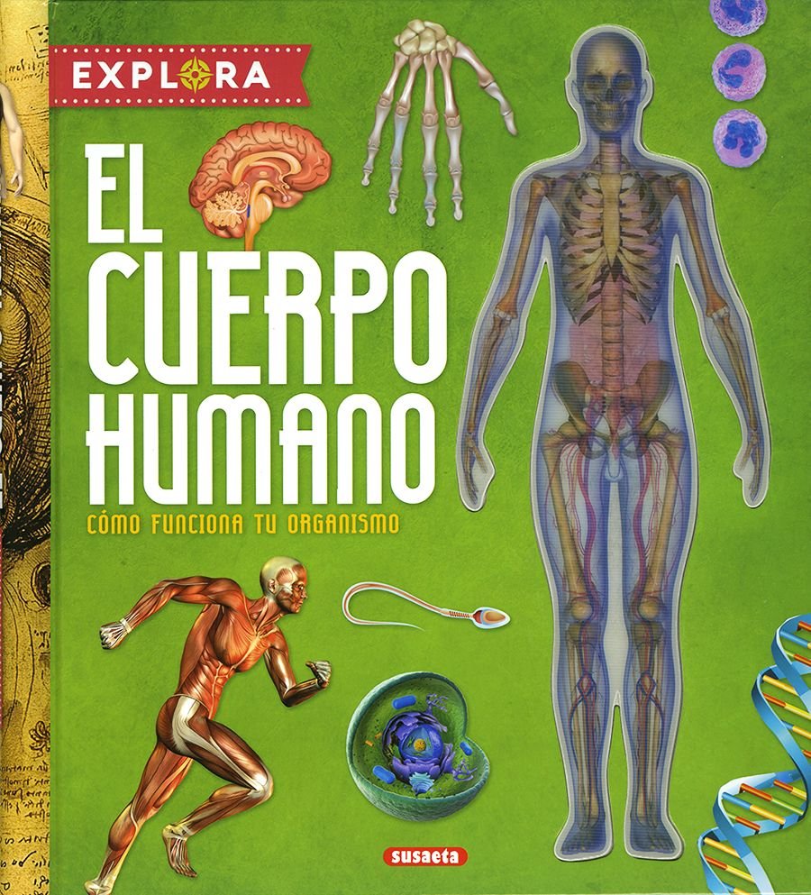 EL CUERPO HUMANO, de MONTORO | portada del libro
