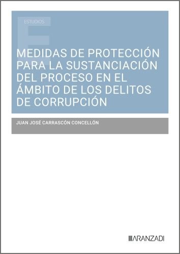 MEDIDAS DE PROTECCION PARA LA SUSTANCIACION DEL PROCESO EN EL AMBITO D, de JUAN JOSE CARRASCON CONCELLON | portada del libro