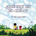 ¿QUÉ HAY EN EL CIELO?, de Mª JOSE GUASP FLORIT | portada del libro